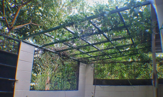 San Salvador House | Copinol 68
