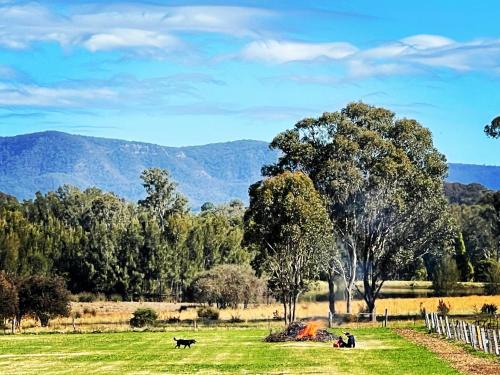 Nulkaba House | Copper Creek Retreat - sleep next door to the Lions