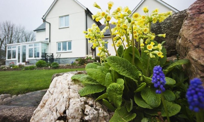 Trewen Bed & Breakfast | Copper Meadow