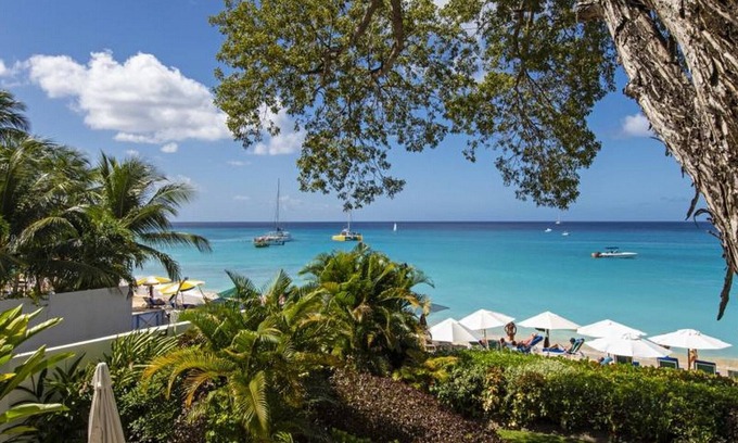 Old Trees Bay Apartment | Coral Cove 4