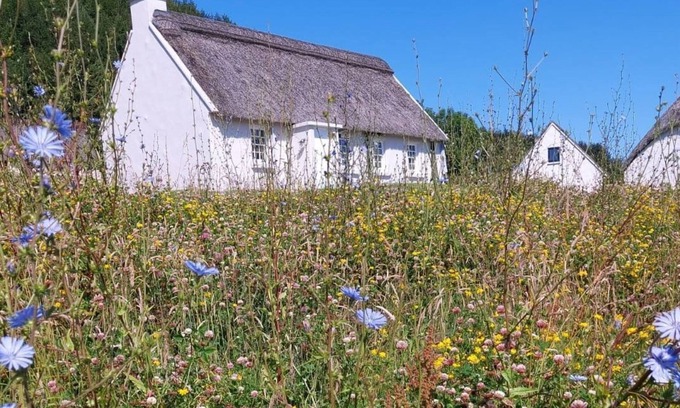 Killinaboy Cottage | Corofin Lake Cottage No 2