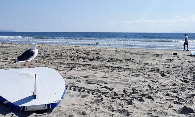 Coronado Condo | Coronado beach life!