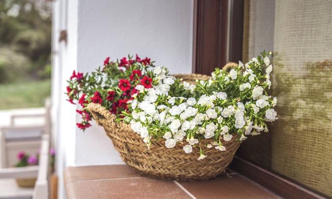 Huescar House | Cortijo La Paloma