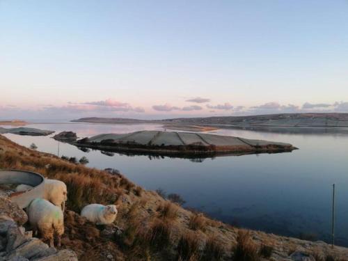 Ardara House | Cosy 2 Bedroom Cottage