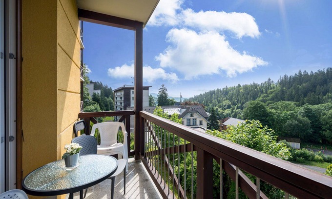 Janske Lazne Apartment | Cosy apartment for 4 people with WIFI, TV, balcony and pets allowed