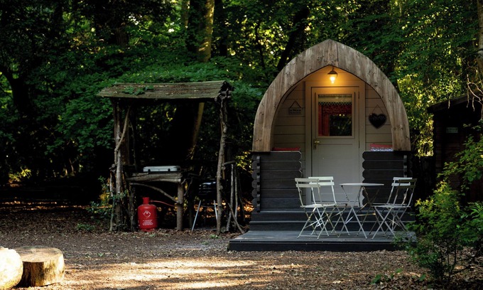 Plastow Green RV Rental | Cosy Daisy Glamping pod in secluded woodland setting