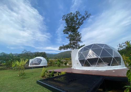 Khlong Sok Other | Cosy Garden Khao Sok
