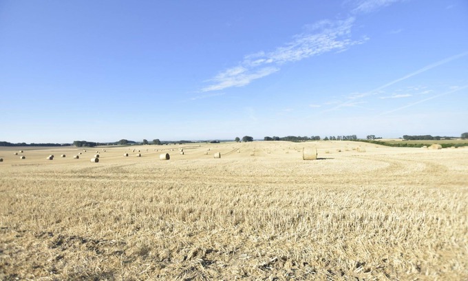 Tessin House | Cosy Holiday Home in Tessin with Terrace