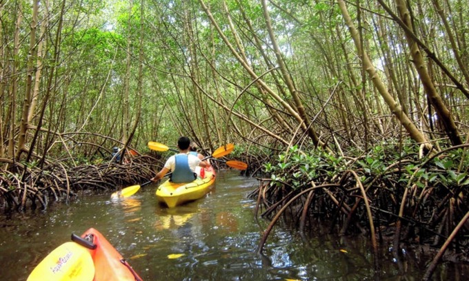 Morne-A-l'Eau Apartment | Cosy nest - Plage de Babin