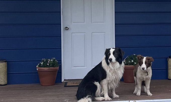 Golden Beach Cottage | Cosy Pet Friendly Beach Cottage
