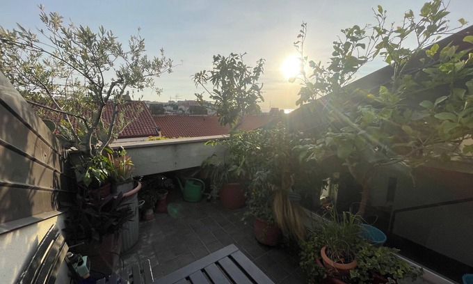 San Giovanni-Chiadino-Rozzol Bed & Breakfast | cosy room with sea view terrace in an architect's house