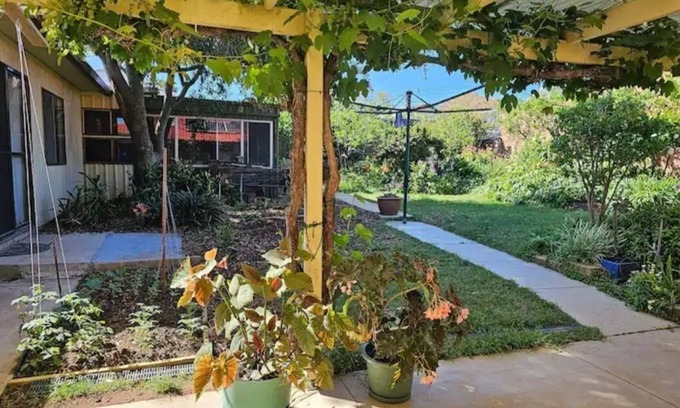 Modbury North Apartment | Cosy Unit in Modbury