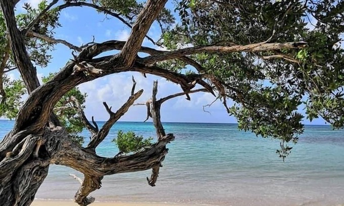 Saint-Francois Apartment | COTE PLAGE LE BALAOU