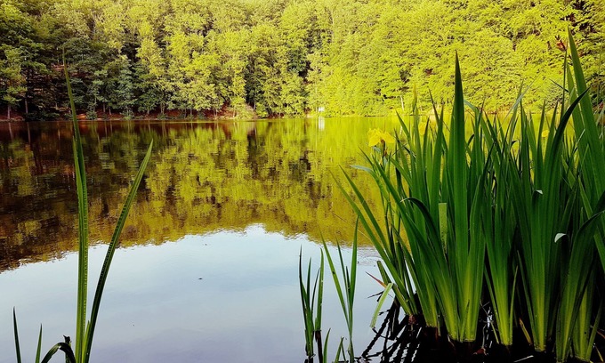 Urnshausen House | Cottage directly on the lake