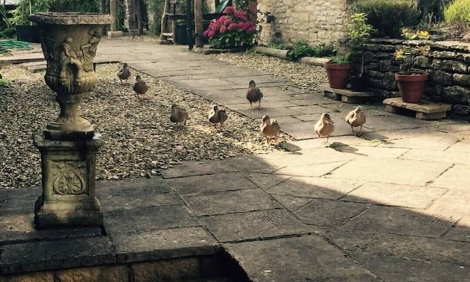Coalpit Heath House | Cottage Farm Barn