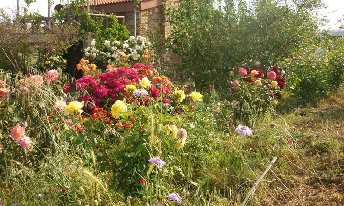 Lemnos Cottage | Cottage farmhouse.