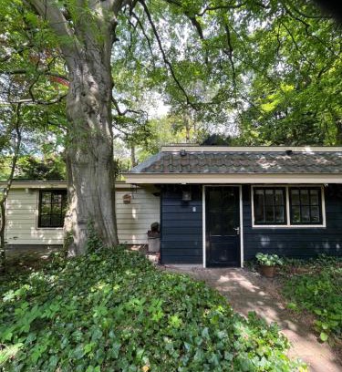 Aerdenhout House | Cottage Het Beukenootje