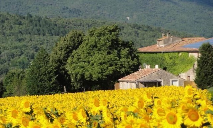 Reillanne Cottage | Cottage in the countryside in the heart of the Luberon