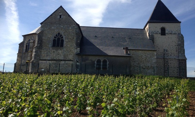 Chavot-Courcourt House | cottage in the middle of Champagne vineyards