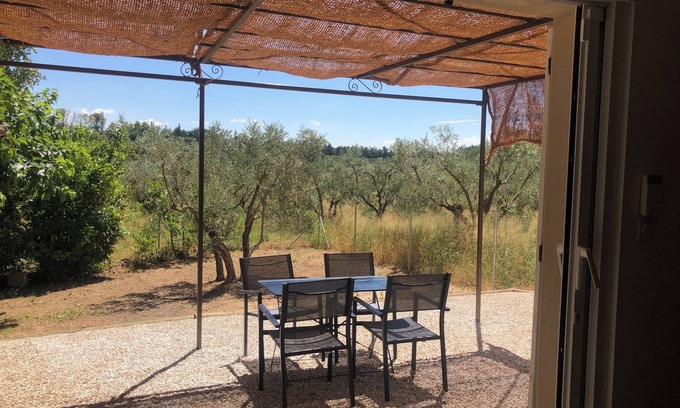 Aureille House | Cottage in the olive groves