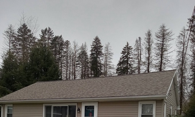 Edinboro Cottage | Cottage near edinboro lake on walnut street