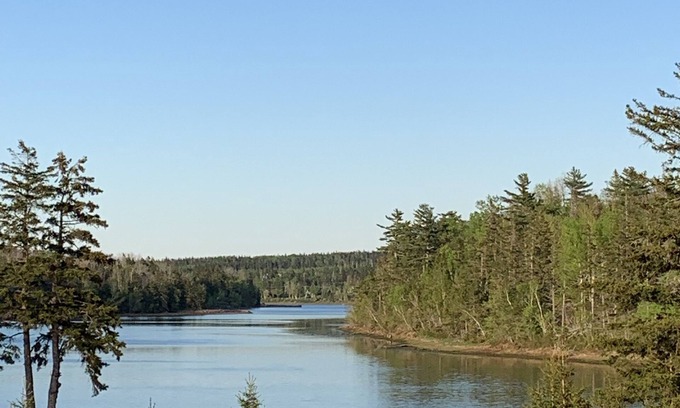 Found Mills Cottage | Cottage on Stanley River with amazing views and private pool