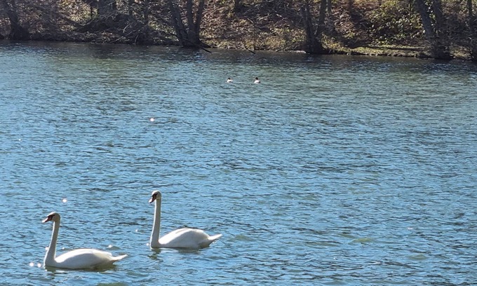 Vrigne-aux-Bois Apartment | Cottage ponds of Saint Bale