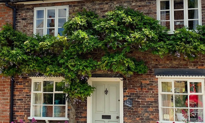 Crayke Cottage | Cottage-Private Bathroom-Ivy - Self Catering