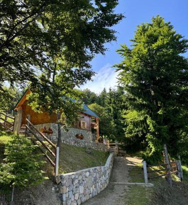 Montenegro House | Cottage Under the Tresnjevik