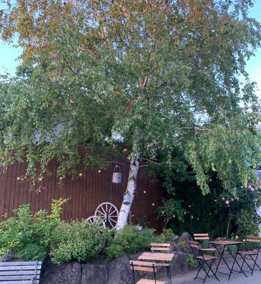 Katagami Hotel | Cottage Village 宿り木荘