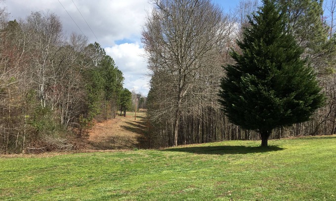 Collinsville Cabin | Country Cabin.We have cleaned the cabin top to bottom! Get out of the city!
