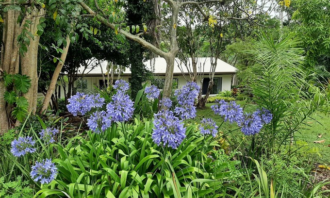 Imbil House | Country Cottage in Imbil (Mary Valley)