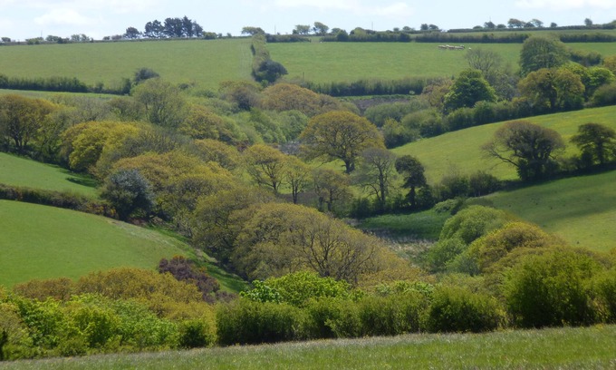 Brazzacott Cottage | Country cottage near Boscastle, Situated amid the beautiful Cornish Countryside