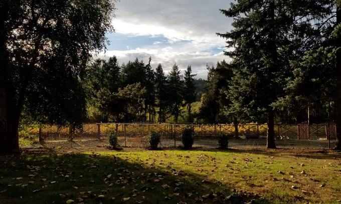 Federal Way House | Country feel, w/all amenities, close to winery, restaurants, shops, & freeway!