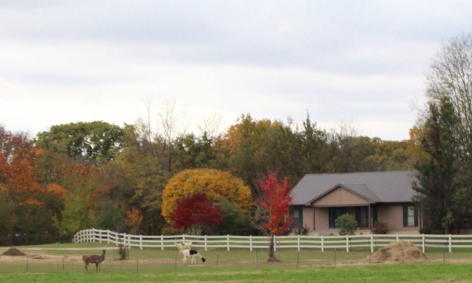 Bluffs House | COUNTRY HOME WITH LLAMAS JUST OUTSIDE THE WINDOWS!