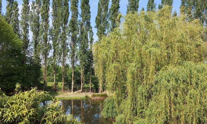 Beaulieu-sur-Oudon House | Country house with pond