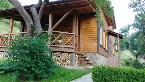 Vyzhnytsya House | Country House Kosiv