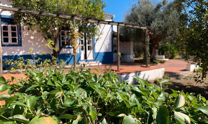 Alvito House | Country House "Quinta do Céu - Refuge in Alentejo," an Idyllic Setting