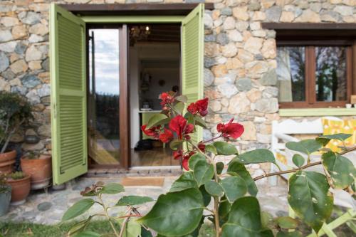 Agia Apartment | Country House Spitaki Γραφείο