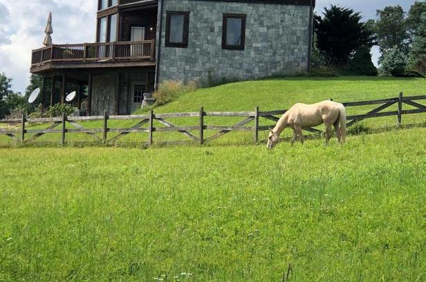 Laurel Fork Ski Chalet | Country vacation home