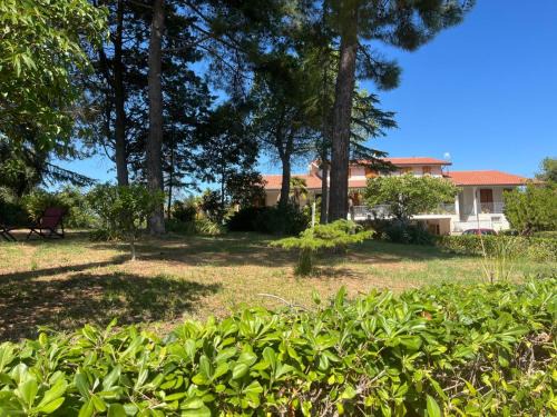 Scapezzano Apartment | CountryShore