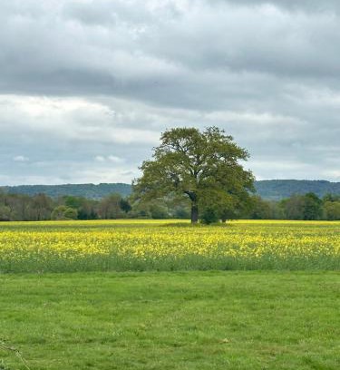 Cranleigh House | Countryside Barn