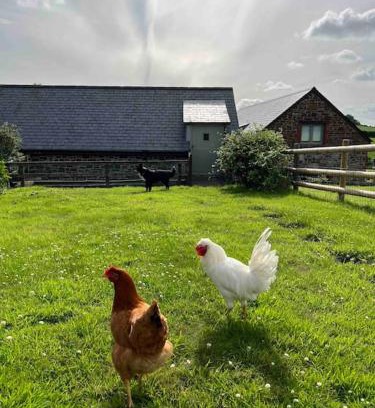 Lifton House | Countryside cottage with private garden & hot tub
