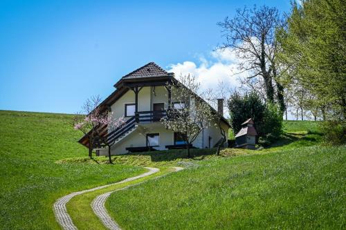 Male Brusnice House | Countryside house