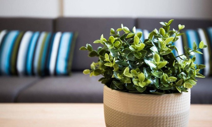 Panagyurishte Apartment | Court Inn – One Bedroom Apartment 10