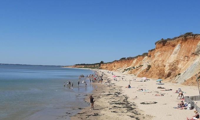 Arzal Ski Chalet | Cozy 2-Bedroom Chalet with Pool, Near Morbihan Gulf and Beaches