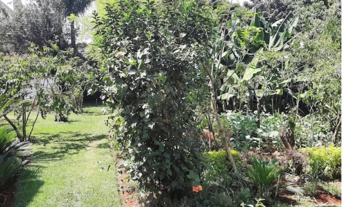 Muthaiga House | Cozy 2 bedroom home in Roslyn Runda with WI-FI
