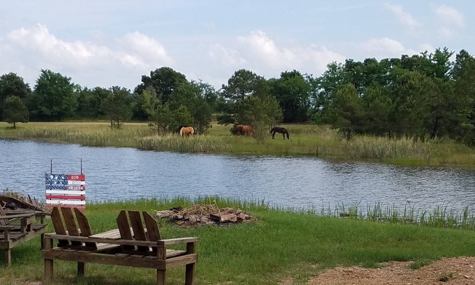 Antlers Cabin | Cozy 2 rm pet friendly cabin- private lake - fishing & swimming - CowboyCabin