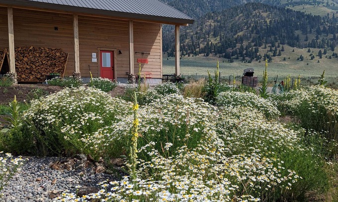 Island Park House | Cozy 5-Star lakeview cabin.
