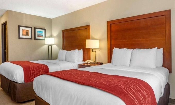 Albuquerque Hotel | Cozy and Convenient Room for Families Exploring Local Culture